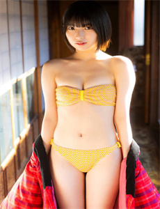 精忠岳飞
