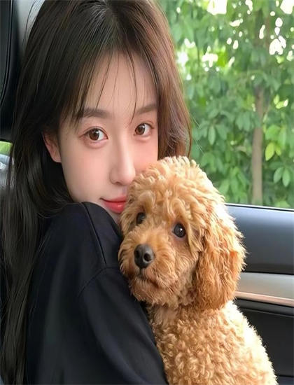 批判的探索纽约黑帮纪实的奥秘：隐藏细节与深层意义，提名影片